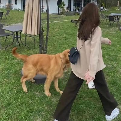 一吻定情2